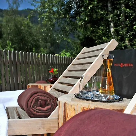 Der Sonnberg Zell am See